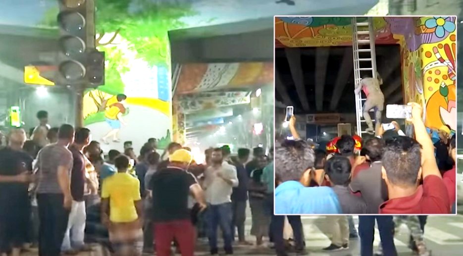 ফ্লাইওভারে ছিনতাইকারীদের গোপন ‌‘সুড়ঙ্গ’, গ্রেপ্তার ৪